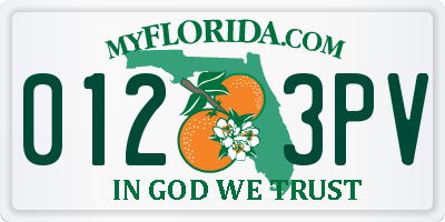 FL license plate 0123PV
