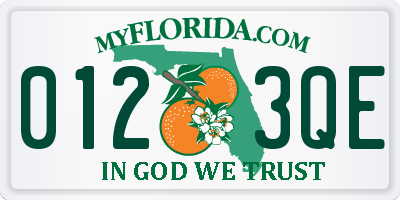 FL license plate 0123QE