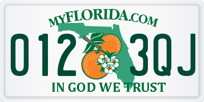 FL license plate 0123QJ