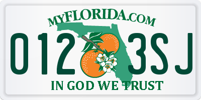 FL license plate 0123SJ