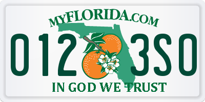 FL license plate 0123SO