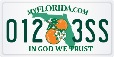 FL license plate 0123SS