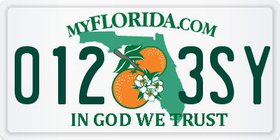 FL license plate 0123SY