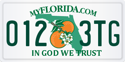 FL license plate 0123TG