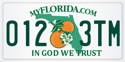 FL license plate 0123TM