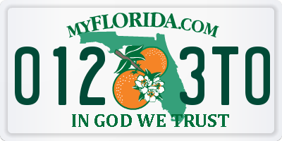 FL license plate 0123TO