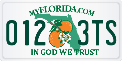 FL license plate 0123TS