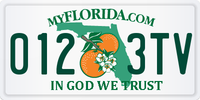 FL license plate 0123TV