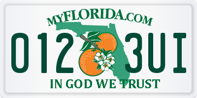 FL license plate 0123UI