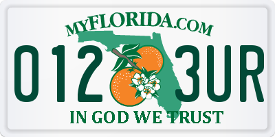 FL license plate 0123UR