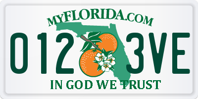 FL license plate 0123VE