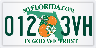 FL license plate 0123VH
