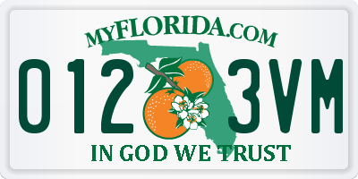 FL license plate 0123VM