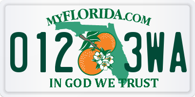 FL license plate 0123WA
