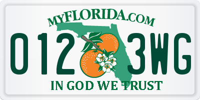 FL license plate 0123WG