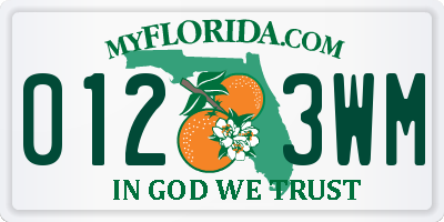 FL license plate 0123WM