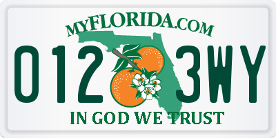 FL license plate 0123WY