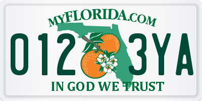 FL license plate 0123YA