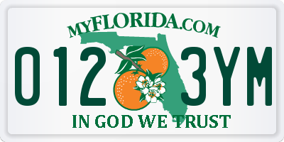 FL license plate 0123YM