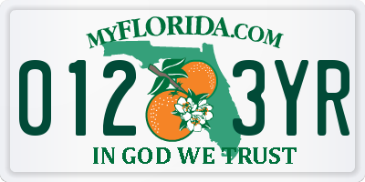 FL license plate 0123YR