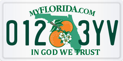 FL license plate 0123YV
