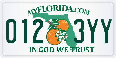 FL license plate 0123YY