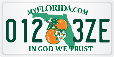FL license plate 0123ZE