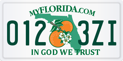 FL license plate 0123ZI