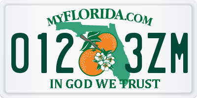 FL license plate 0123ZM