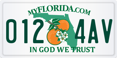 FL license plate 0124AV