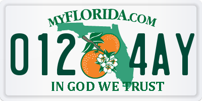 FL license plate 0124AY