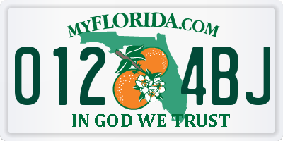 FL license plate 0124BJ