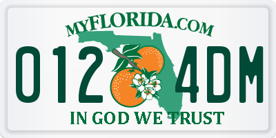 FL license plate 0124DM