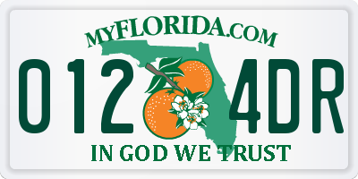 FL license plate 0124DR