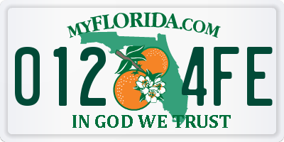 FL license plate 0124FE