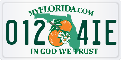 FL license plate 0124IE