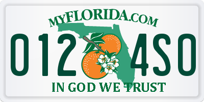 FL license plate 0124SO