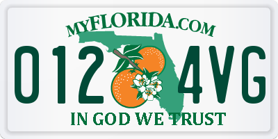 FL license plate 0124VG