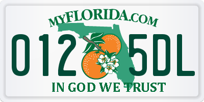 FL license plate 0125DL