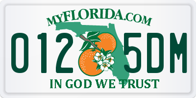 FL license plate 0125DM