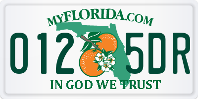 FL license plate 0125DR