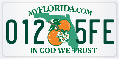 FL license plate 0125FE