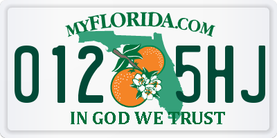 FL license plate 0125HJ