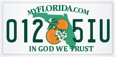 FL license plate 0125IU