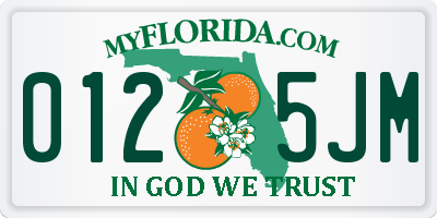 FL license plate 0125JM