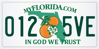 FL license plate 0125VE