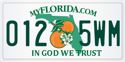 FL license plate 0125WM