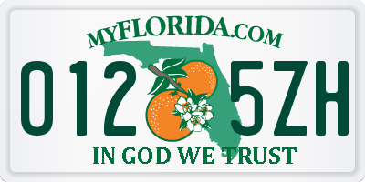 FL license plate 0125ZH