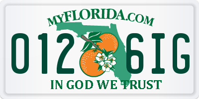 FL license plate 0126IG