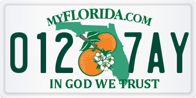 FL license plate 0127AY